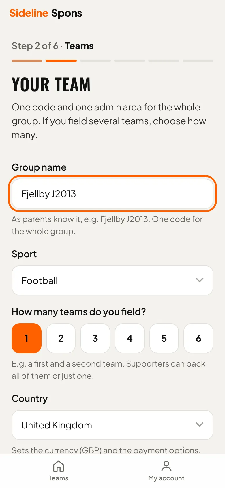 Your team