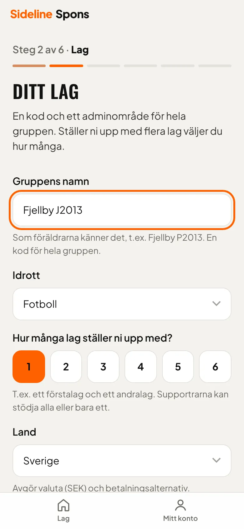 Ditt lag